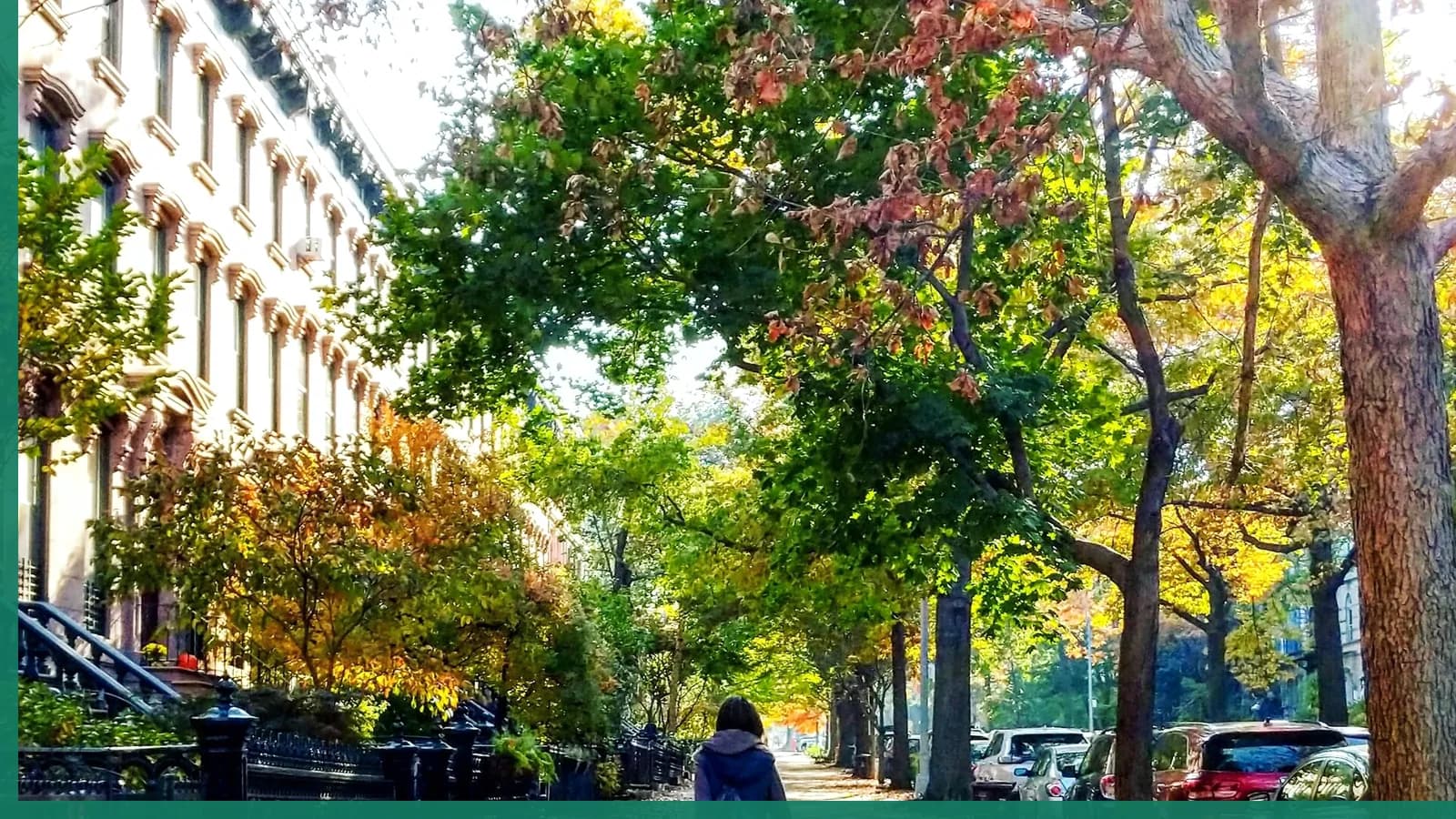 A Brooklyn neighborhood streetscape illustrating prospect park in Park Slope