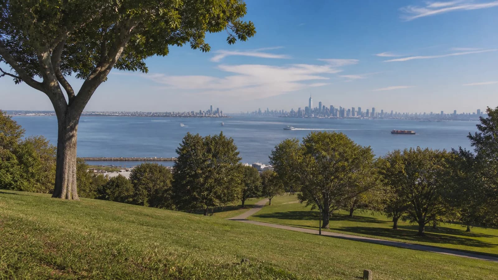 Rolling green hillside and sweeping New York Harbor view from Owl's Head Park